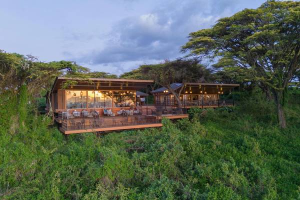 Wooden chalets amongst verdant bush and trees of Ngorongoro Lion's Paw
