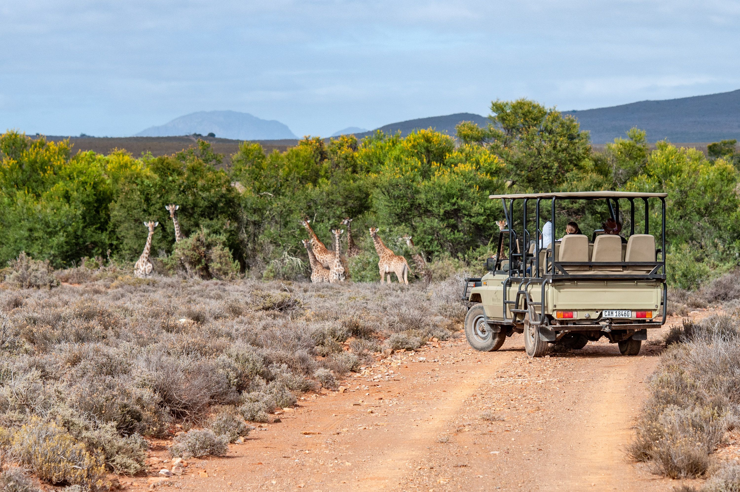 Mont Eco for 2 nights: A Private Game Reserve in the Klein Karoo