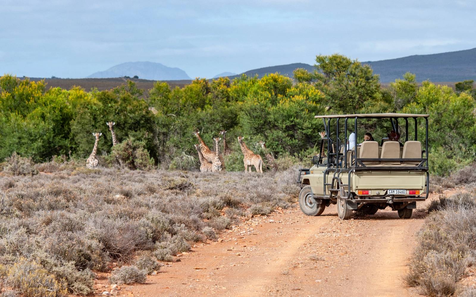 Mont Eco for 2 nights: A Private Game Reserve in the Klein Karoo