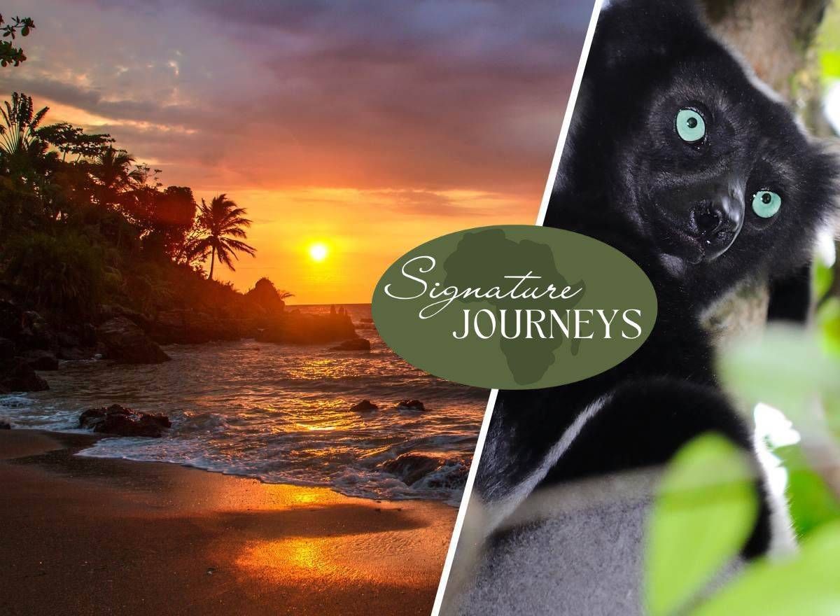 Beach & Lemur Explorer: 12 Nights Across Madagascar's Wild Coast