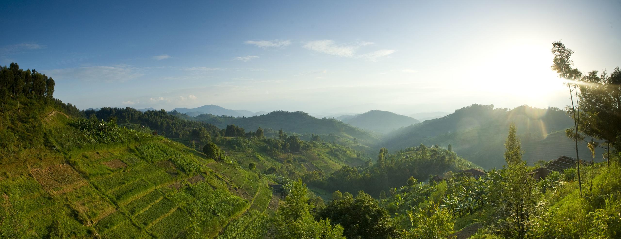 Lush green Rwandan Hills
