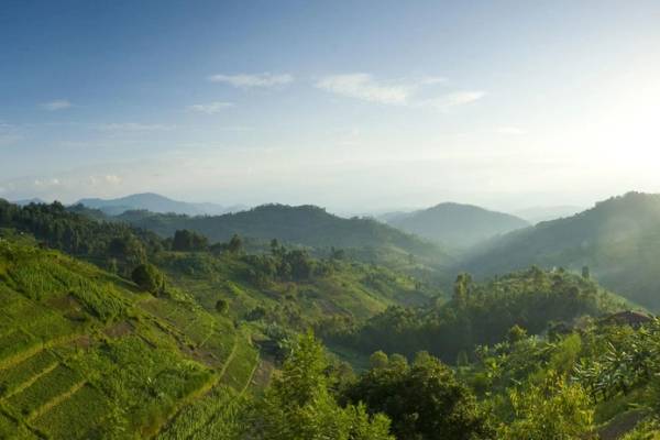 Lush green Rwandan Hills