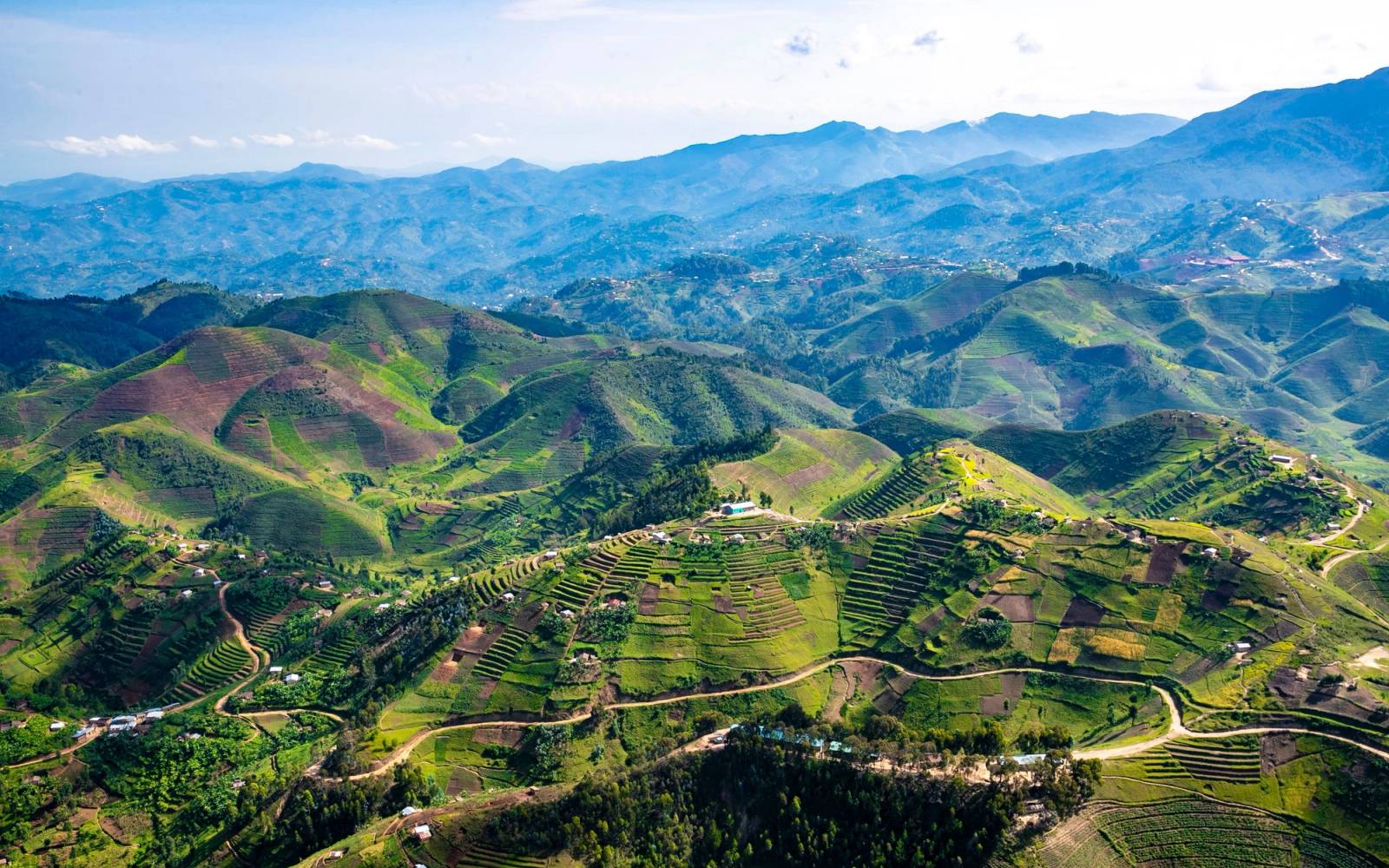 Green lush rolling hills of Rwanda countryside