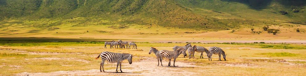Essence of Tanzania: 6 Night Exclusive Small Group Safari
