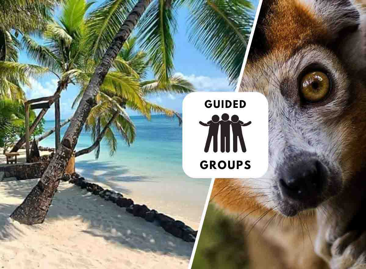Island Gems of Madagascar: 10 Nights of Rainforest, Lemurs & Island Escape