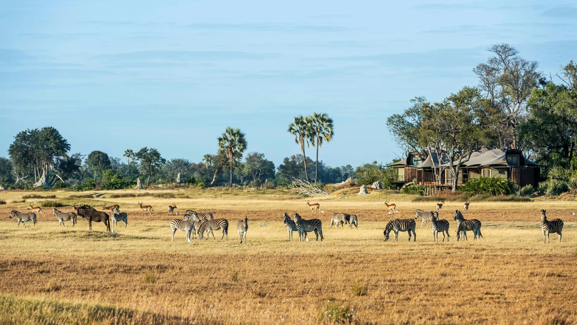 Xigera Safari Lodge: 4 Nights at a Luxury Safari & Eco-Lodge
