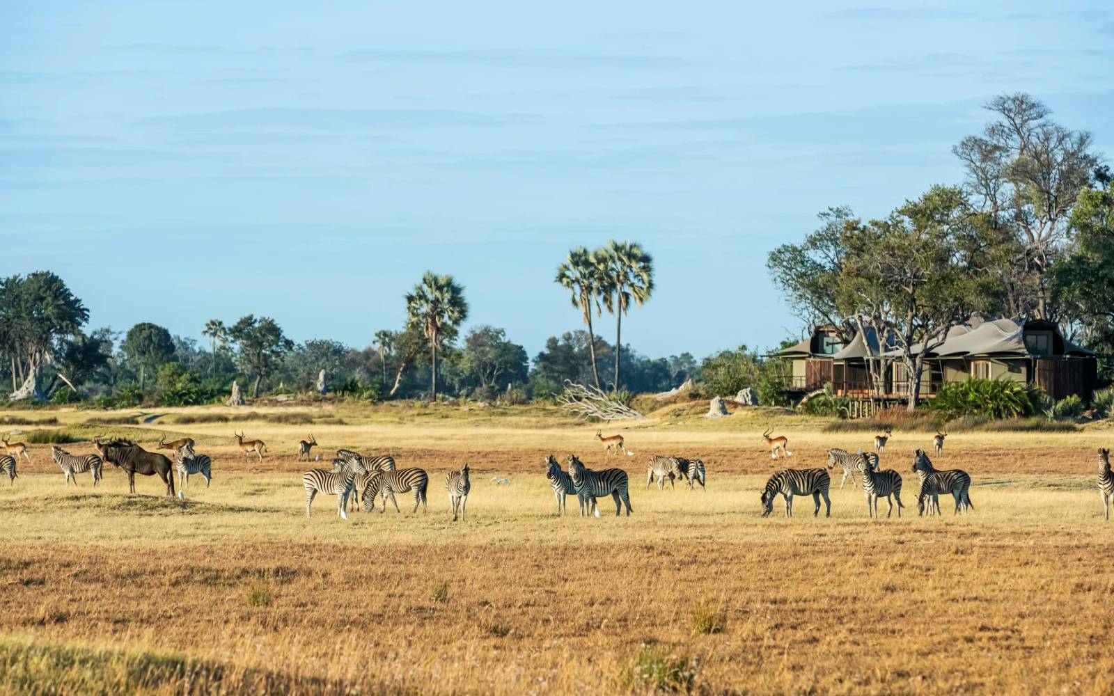 Xigera Safari Lodge: 4 Nights at a Luxury Safari & Eco-Lodge