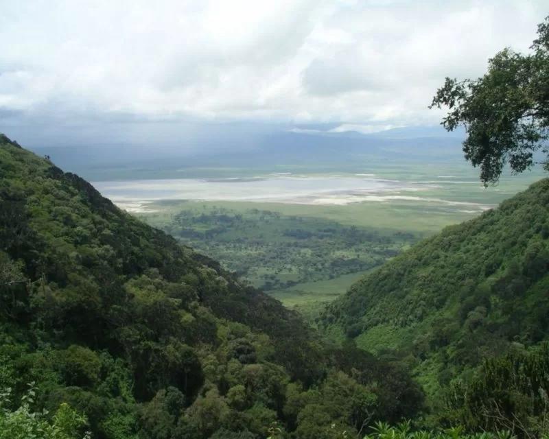 Lush green forested slopes of the Ngorongoro Crater with Lake Magadi in the distance