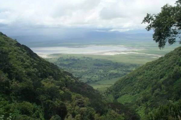 Lush green forested slopes of the Ngorongoro Crater with Lake Magadi in the distance