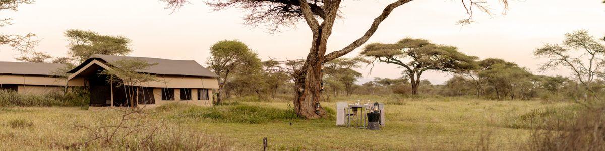 Ndutu Wilderness Camp luxury tent amongst trees with dining table below big tree