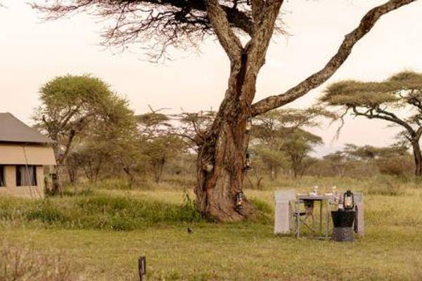 Ndutu Wilderness Camp luxury tent amongst trees with dining table below big tree