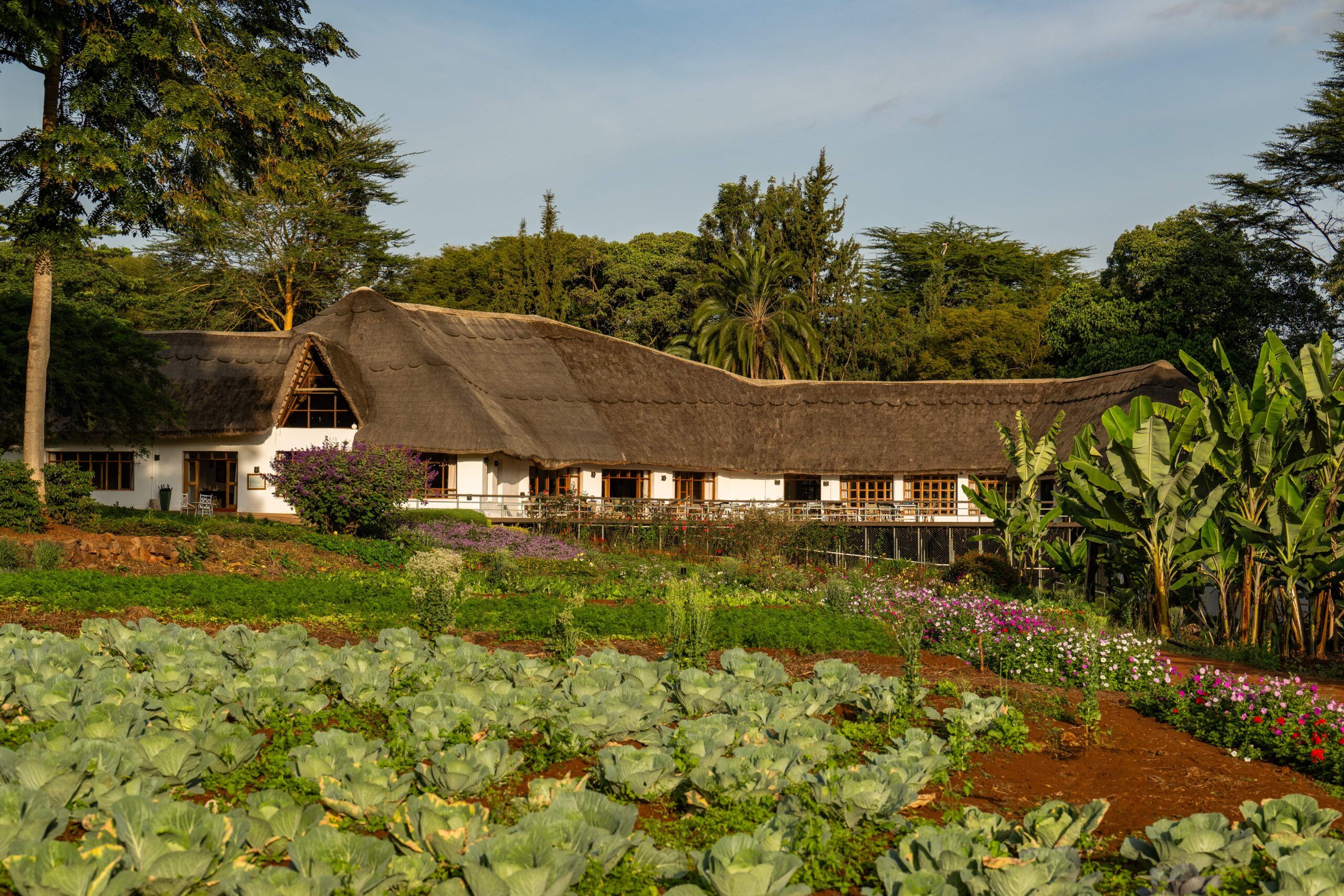 Thatched house with green garden and trees