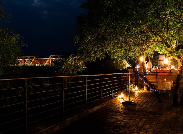 Kruger Shalati bridge with illuminated tree at night