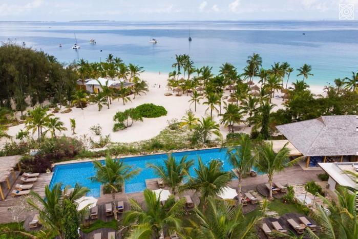 Palm tree lined pool overlooking beach