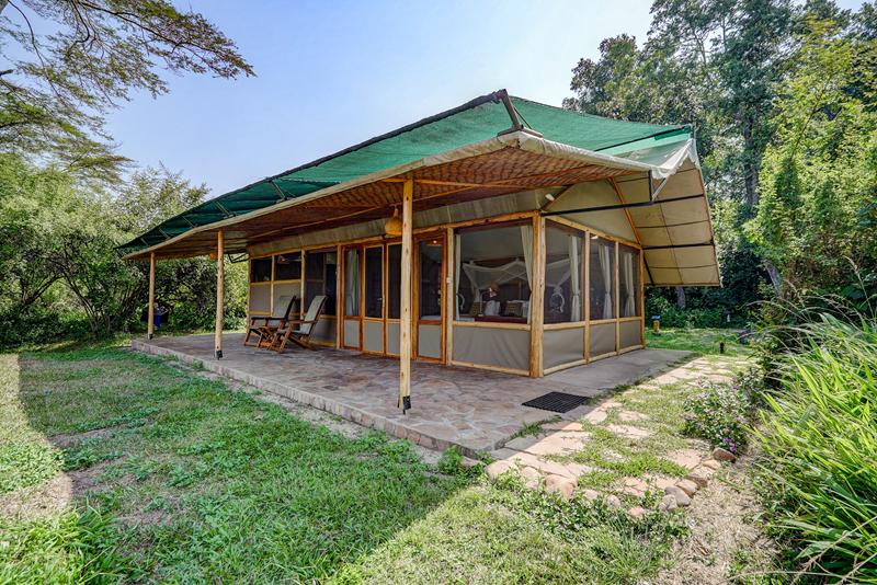 Wooden frame tented luxury suite with patio surrounded by green trees
