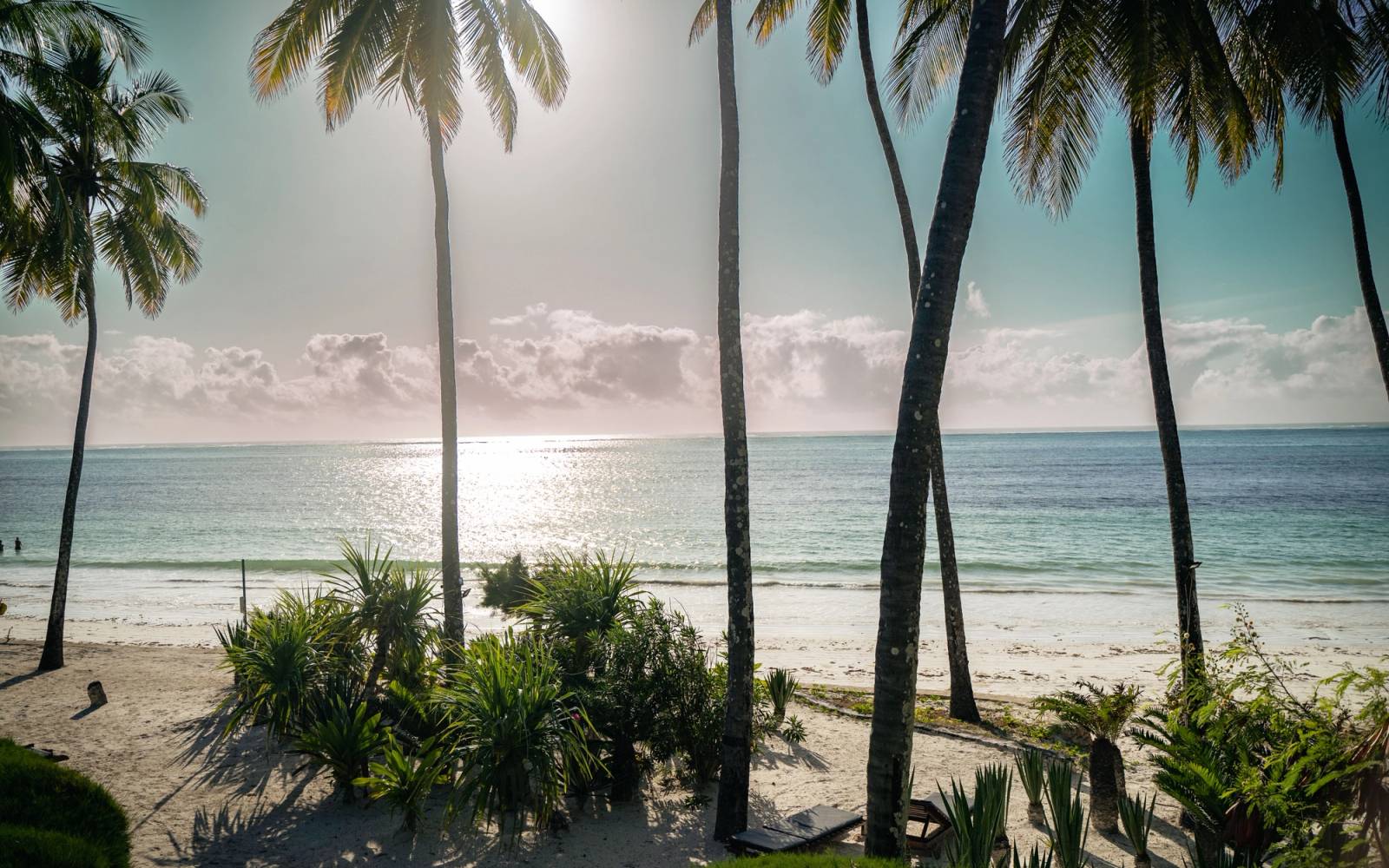 Palm tree lined beach with bright sun overhead
