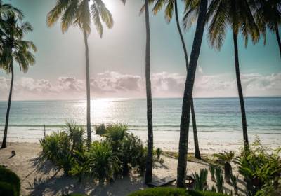 Palm tree lined beach with bright sun overhead