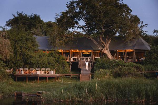 Wooden chalets surrounded by trees and plantlife
