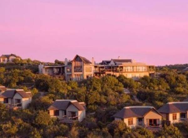 Kuzuko Lodge set on a hilltop with luxury lodge suites surrounded by verdant green bush in the greater Addo area.
