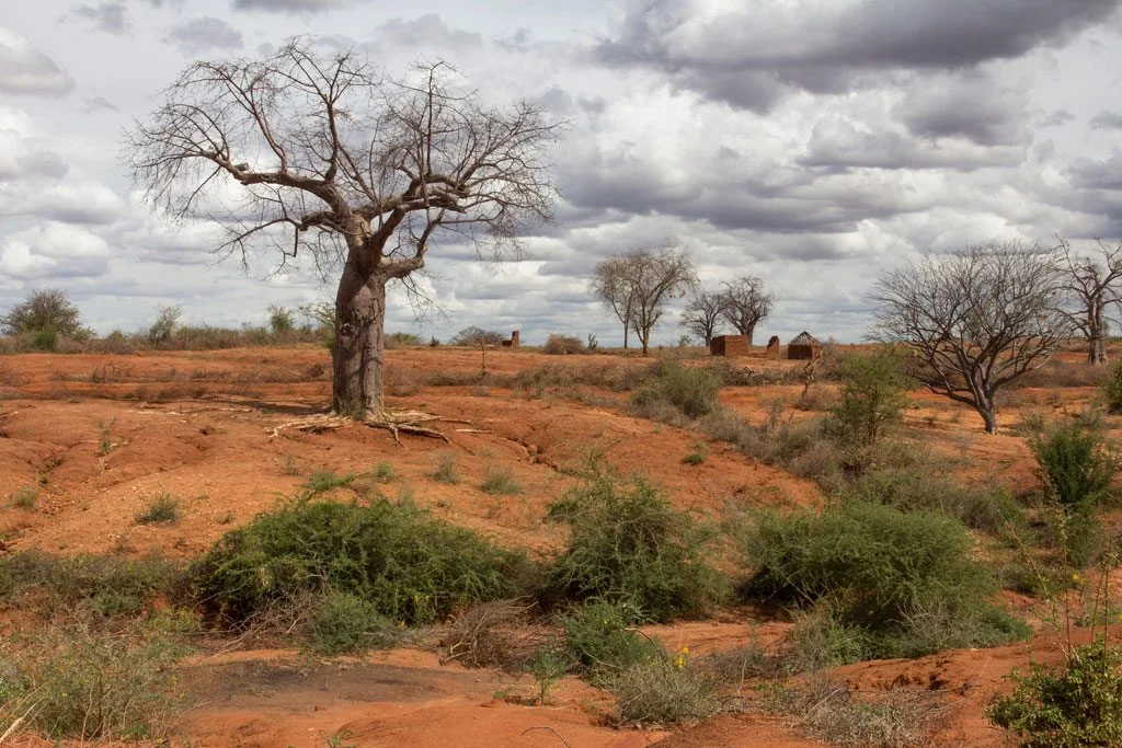 Land Degradation Monitoring