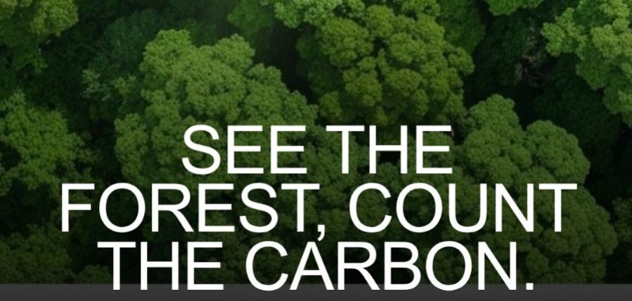 Seeing the Forest and Counting the Carbon: How Geospatial AI Is Transforming Forest Intelligence