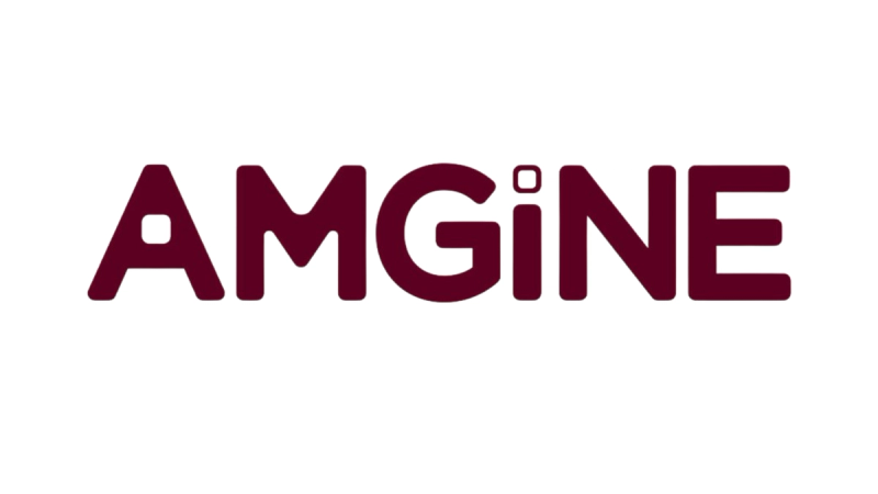 AMGiNE Logo Header