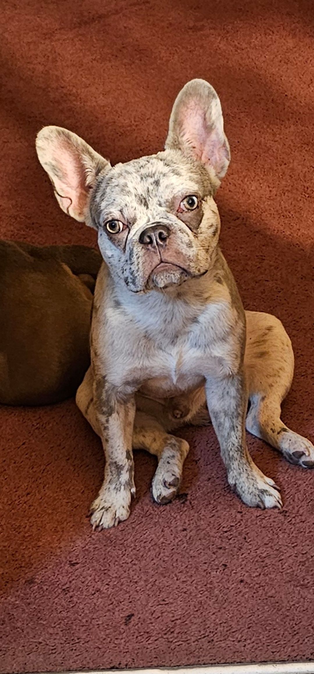 Cash casanova