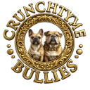 Crunchtyme Bullies