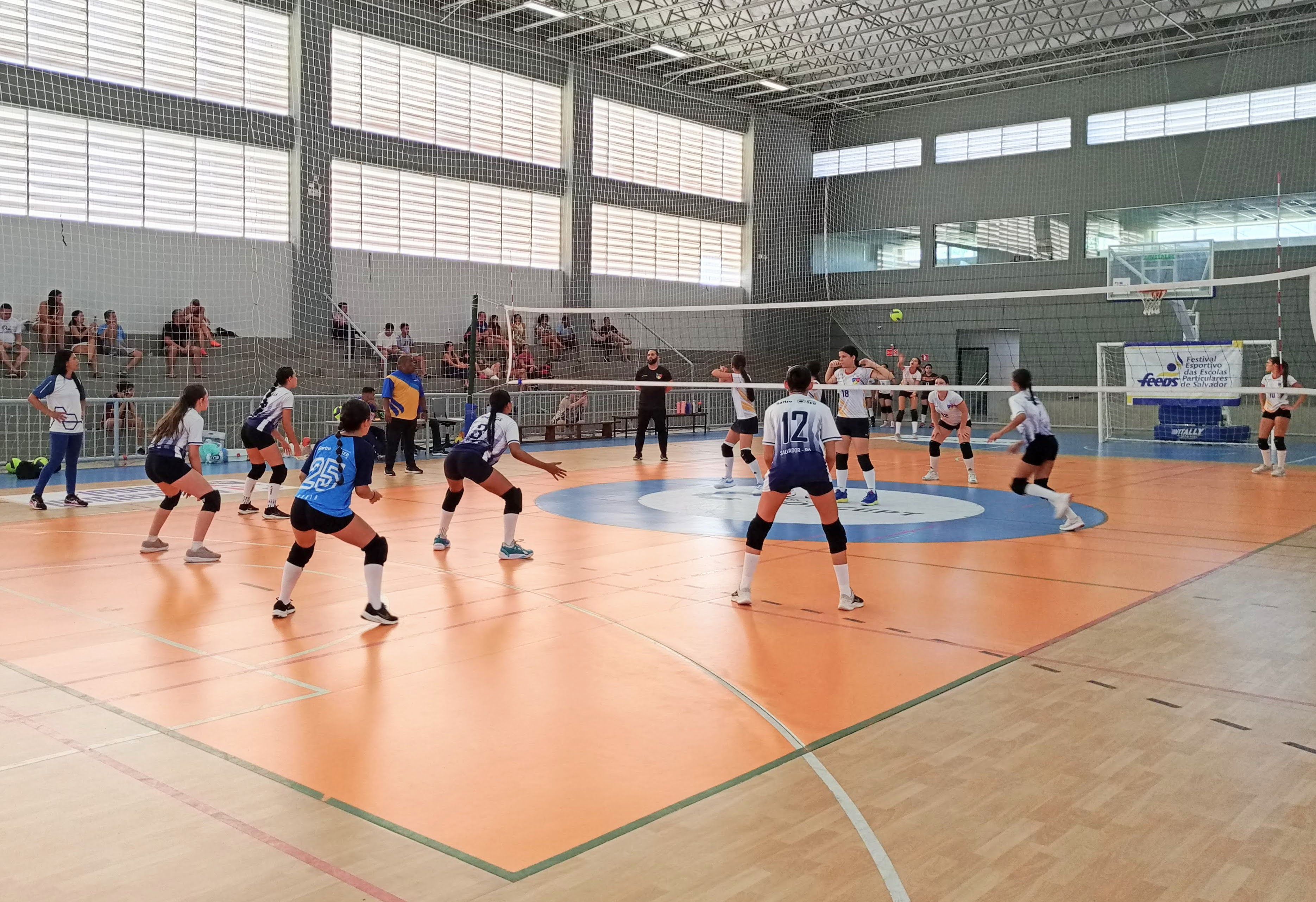Voleibol