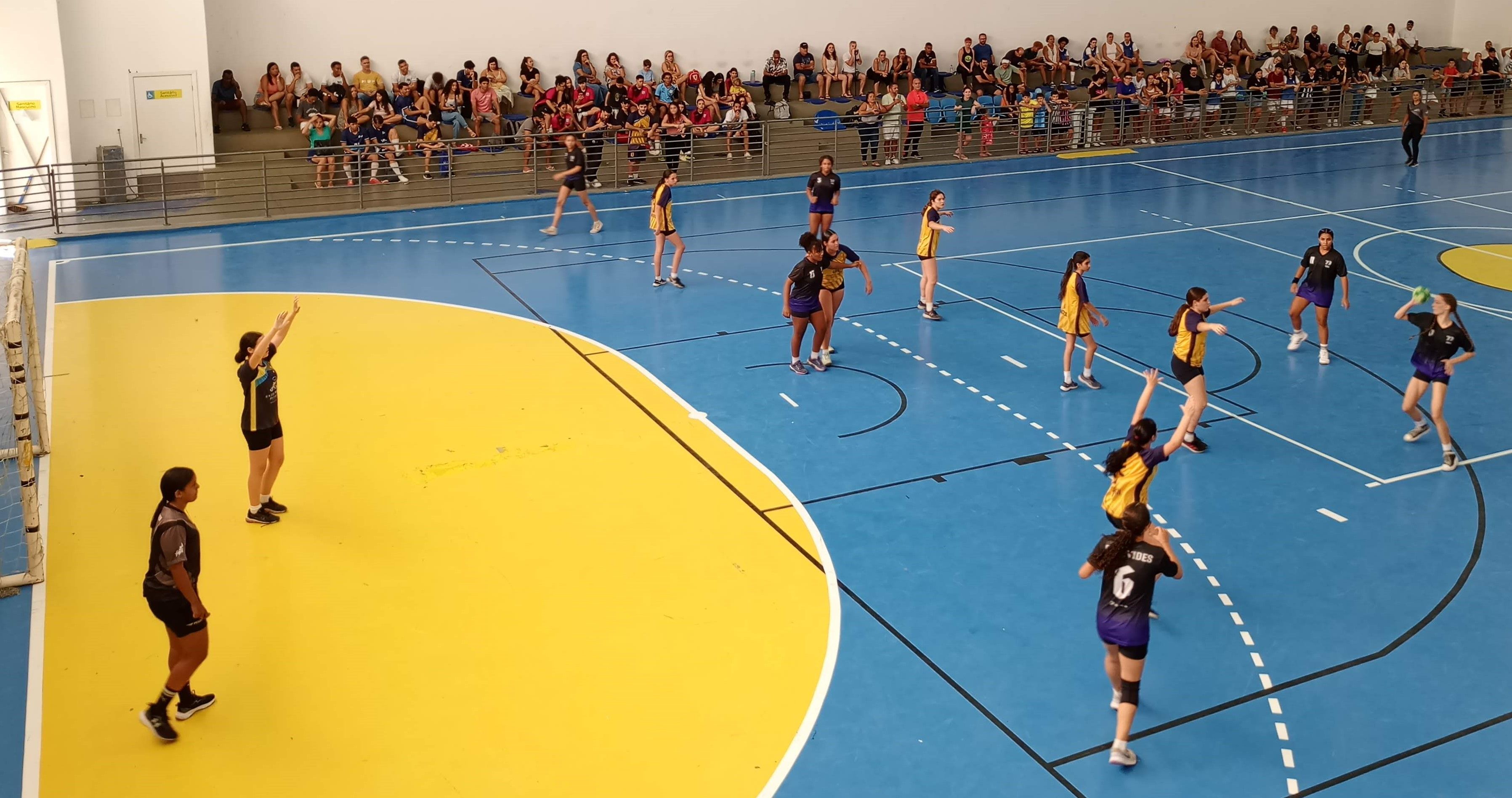 Handebol