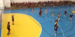 Handebol