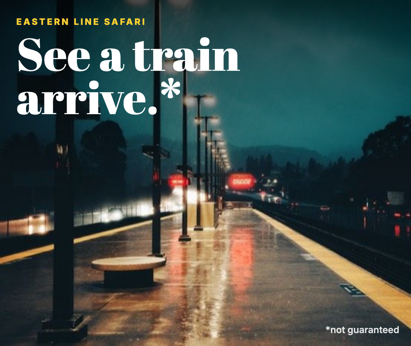 Eastern Line Safari: see a train arrive (not guaranteed).