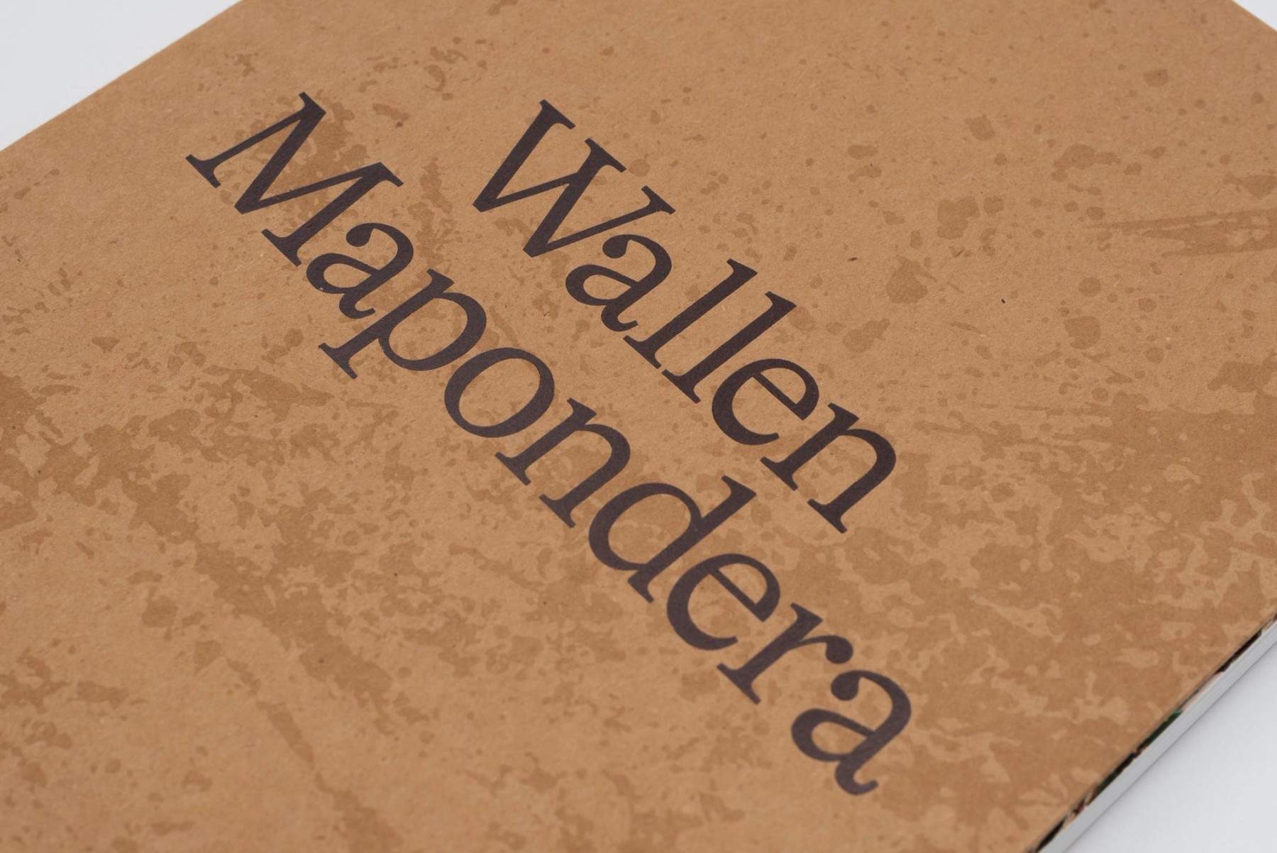 Wallen Mapondera