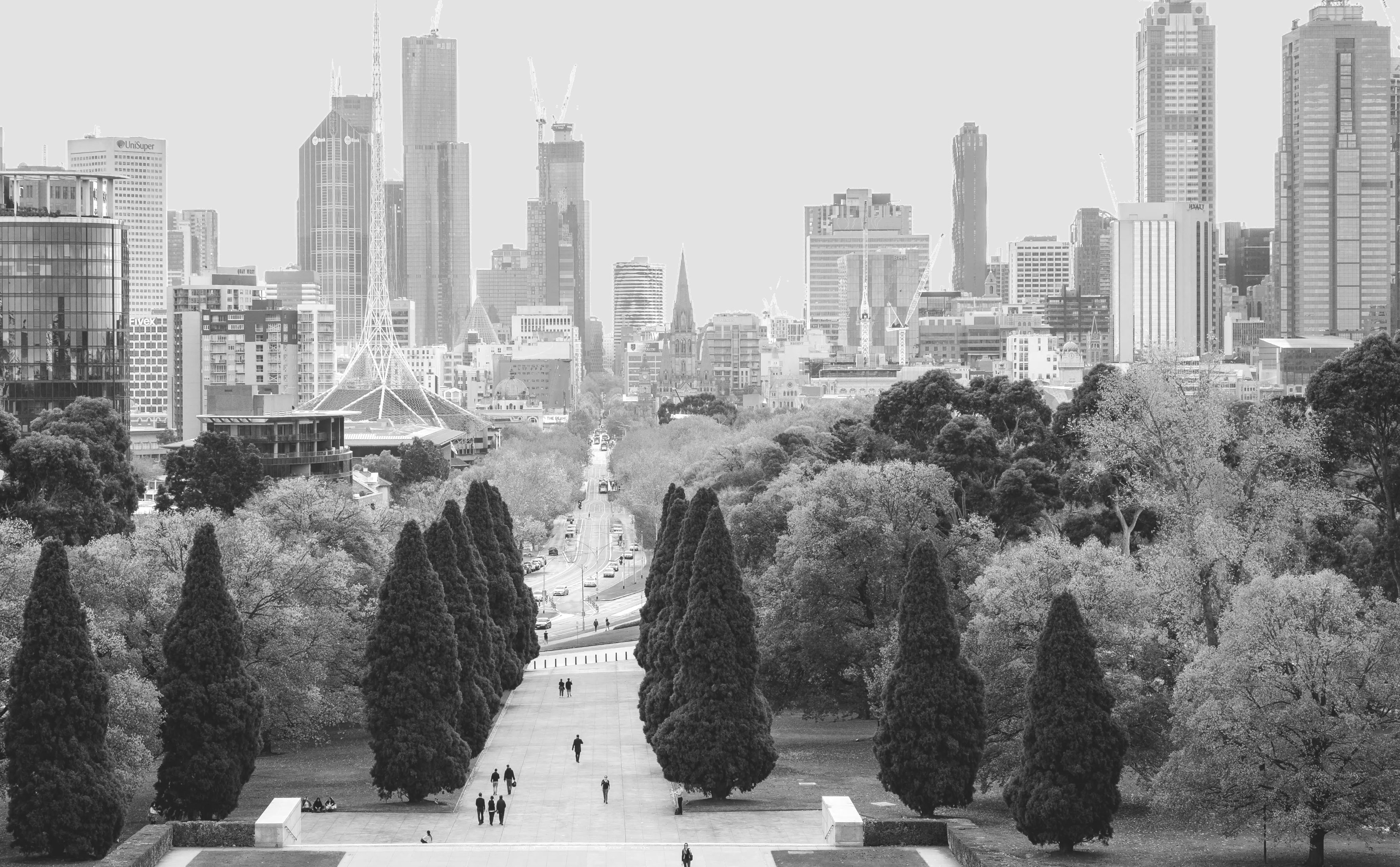 Panoramic black-and-white photo of the Melbourne city skyline framed by tree-lined parkland, cropped so pale sky shows above the buildings