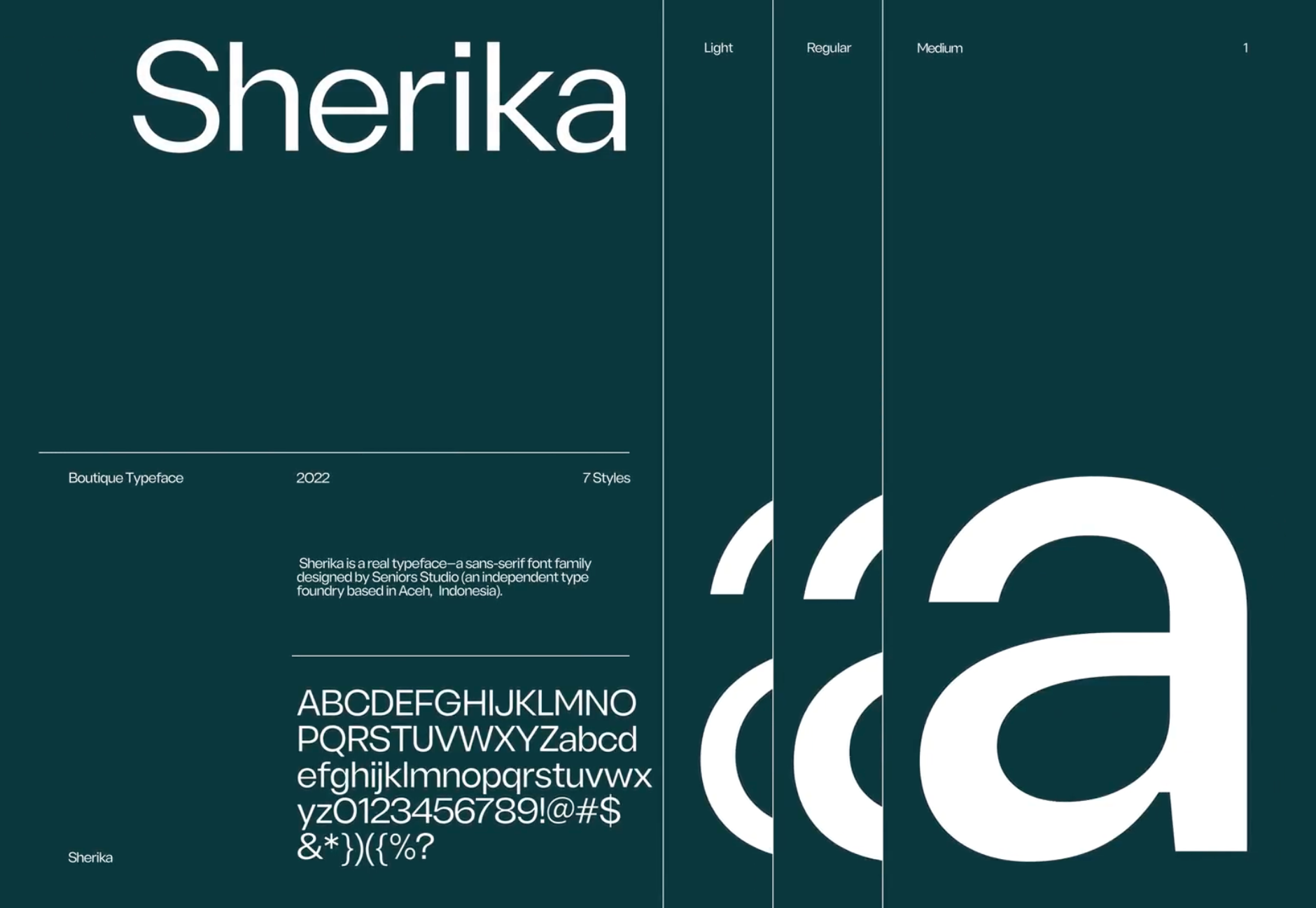 Konceptual brand collateral screenshot