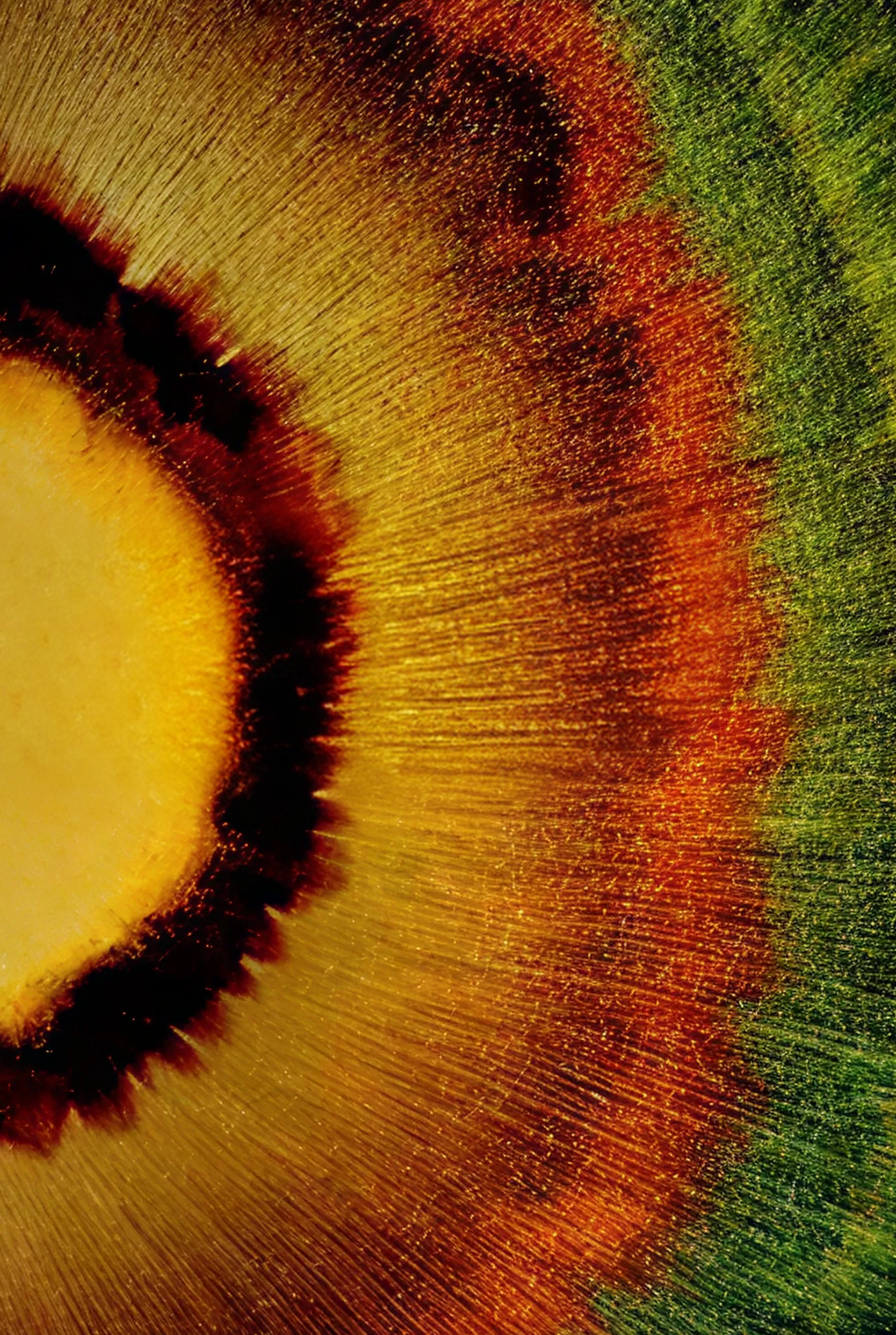 Macro texture