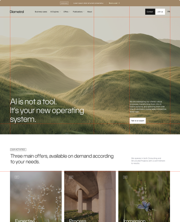 Diametral website: the home page