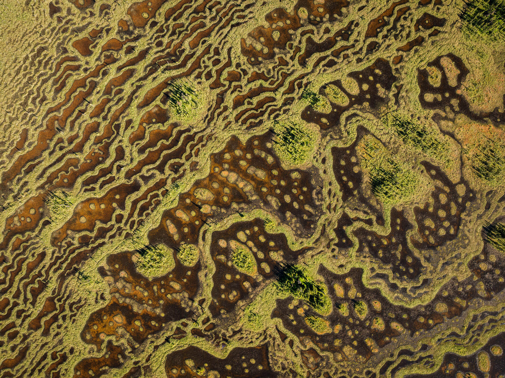 Aerial texture