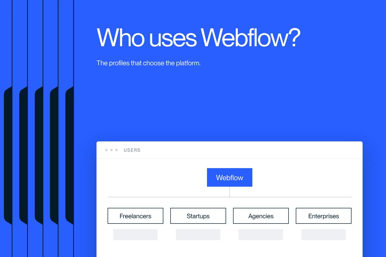 Synqro thumbnail: the four profiles of Webflow users, from freelancers to large companies