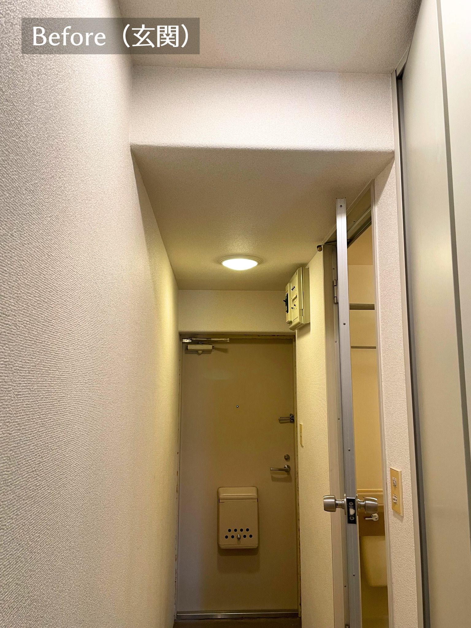 3点ユニットから快適シャワールーム（賃貸１DKフルリフォーム）の写真 12