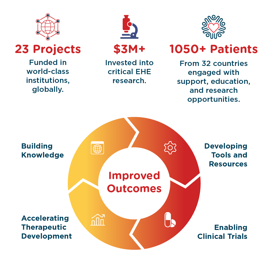 EHEF impact graphic