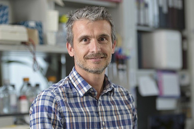 Fabio Vanoli