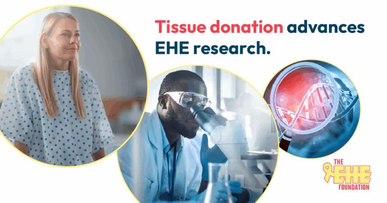 Tissue donation through the EHE Biobank