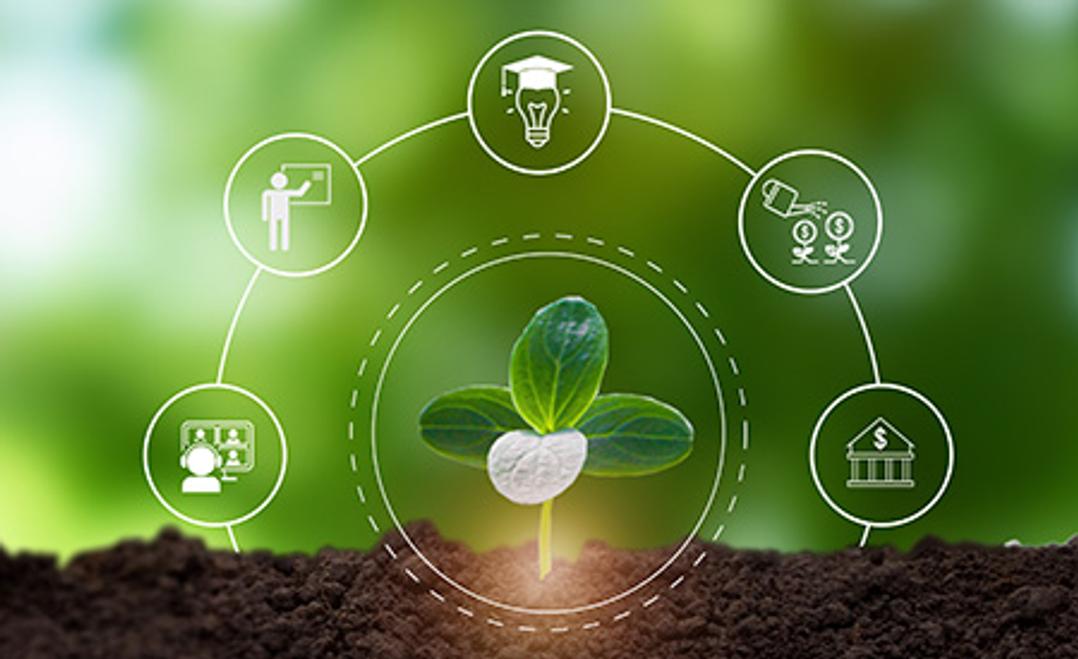 A graphic that shows a plant with icons around it
