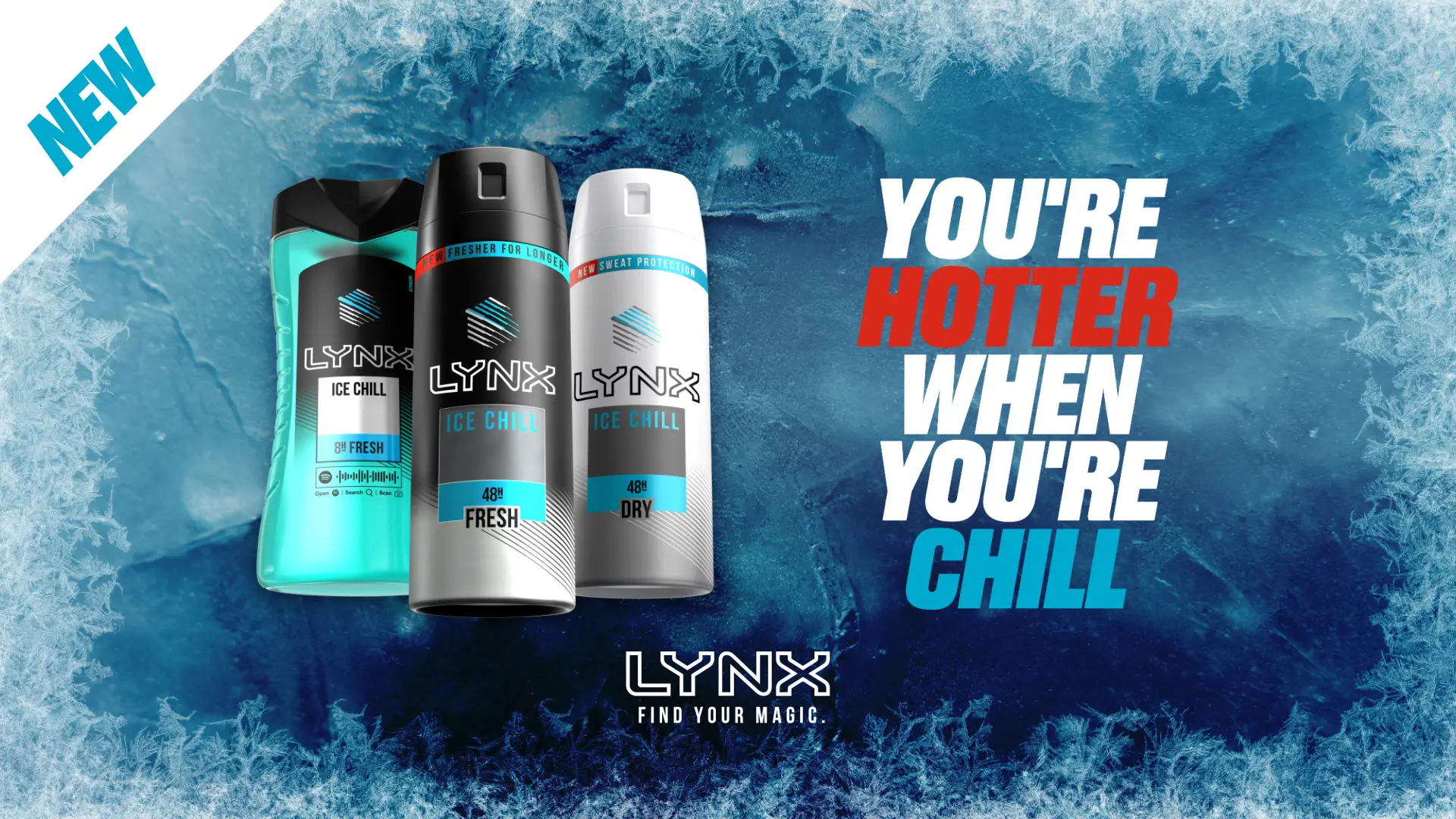 Lynx 11