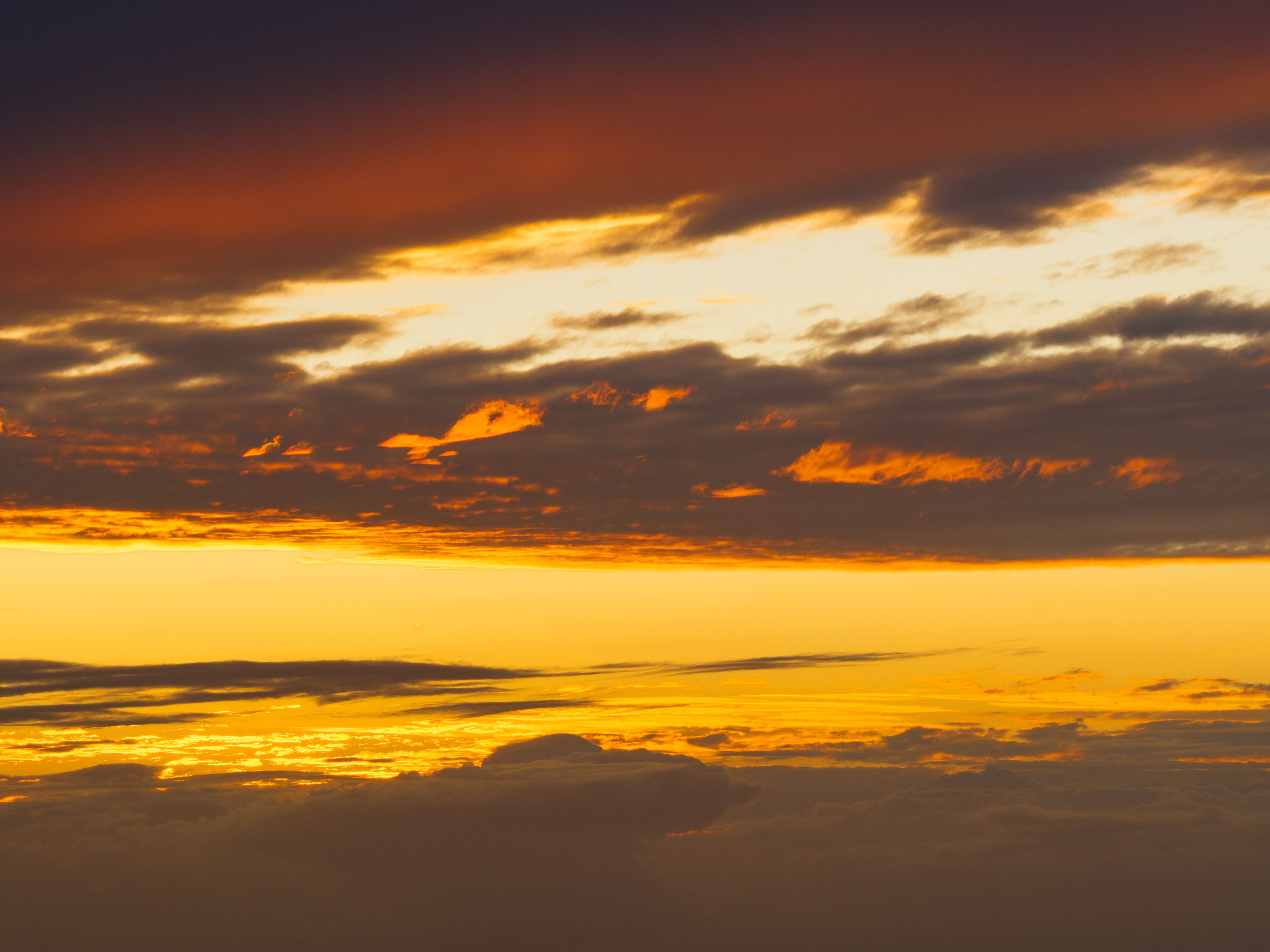 skyline
