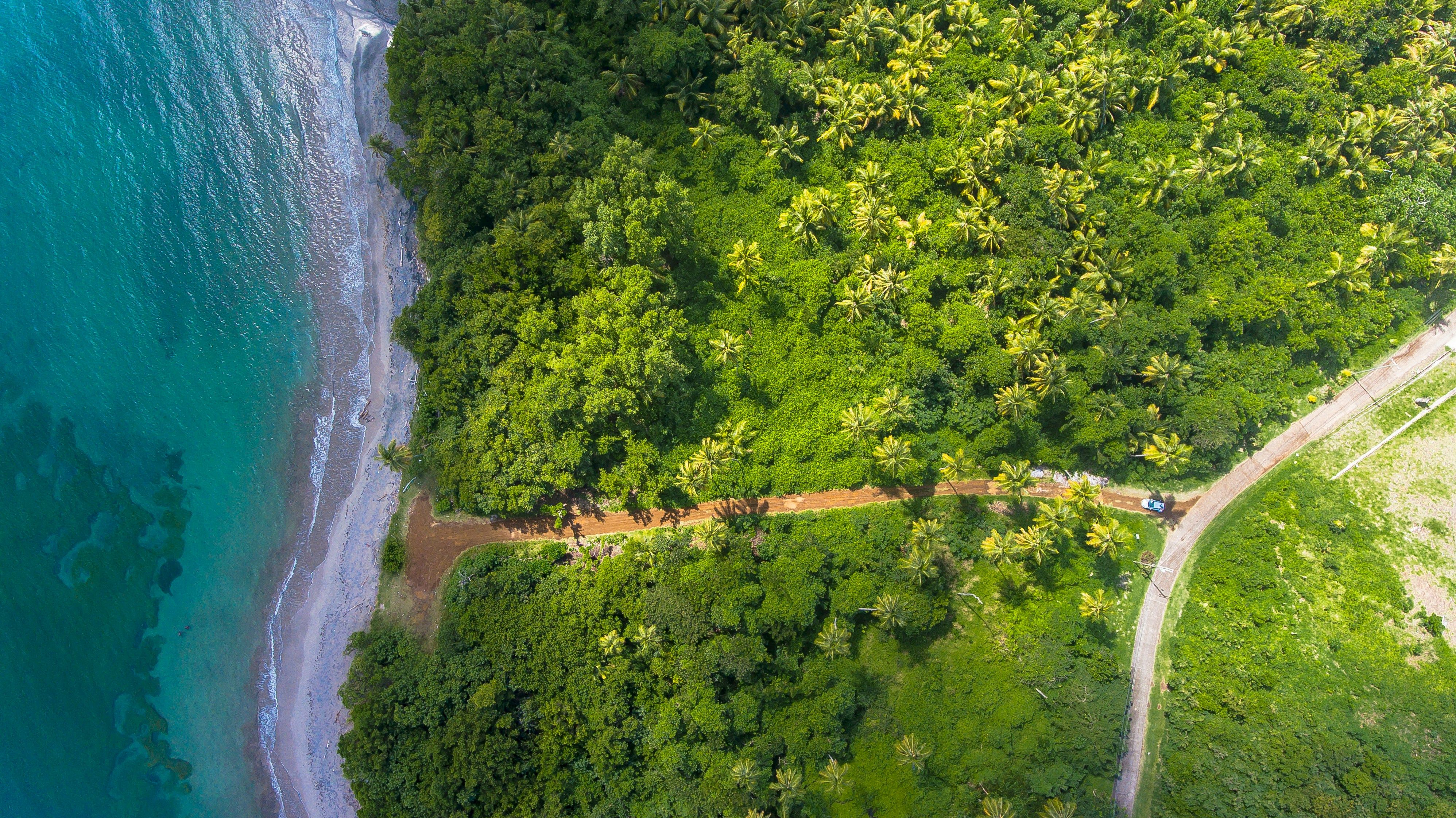 The End of Sustainability