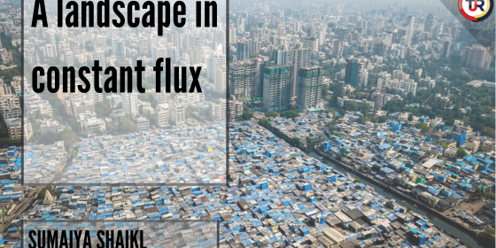 A landscape in constant flux
