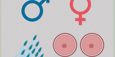 BEYOND THE TEXTBOOK BIOLOGY OF SEX: DICHOTOMY VS DIVERSITY