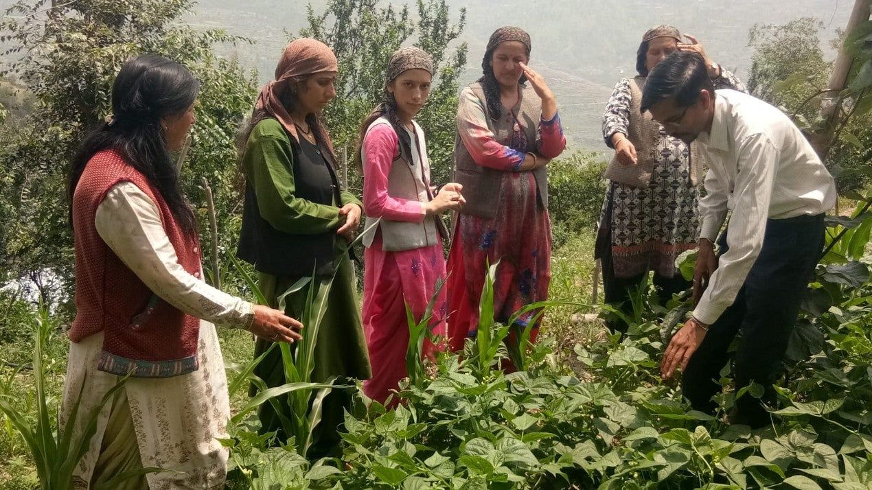 The Daughter of the Mountains: Women’s Vitality in Rural Himachal Pradesh